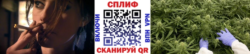 Где купить наркоту Кизилюрт АМФЕТАМИН  Канабис  Cocaine  МЕФ  ГАШИШ 