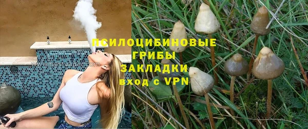 твердый Алексин