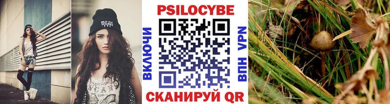 Галлюциногенные грибы Magic Shrooms  Кизилюрт 