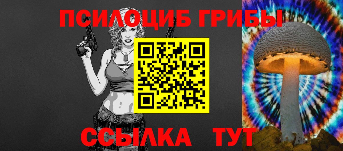Псилоцибиновые грибы мицелий Кизилюрт