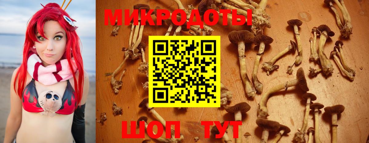 цены   Псилоцибиновые грибы прущие грибы  Вход с VPN  Кизилюрт 